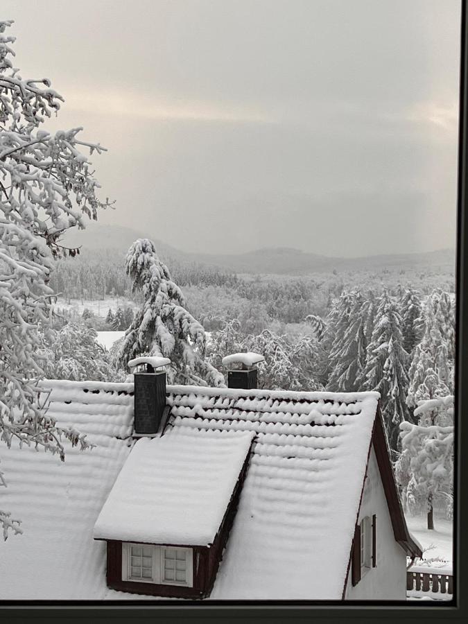 Chalet627 Braunlage Exterior foto